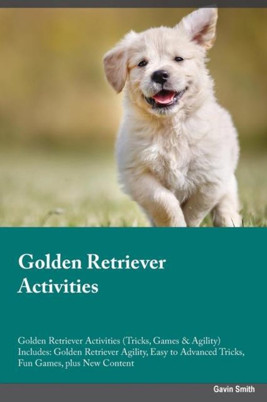 Golden Retriever Activities Golden Retriever Activities (Tricks, Games