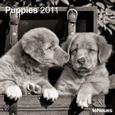 2011 Puppies Grid Calendar