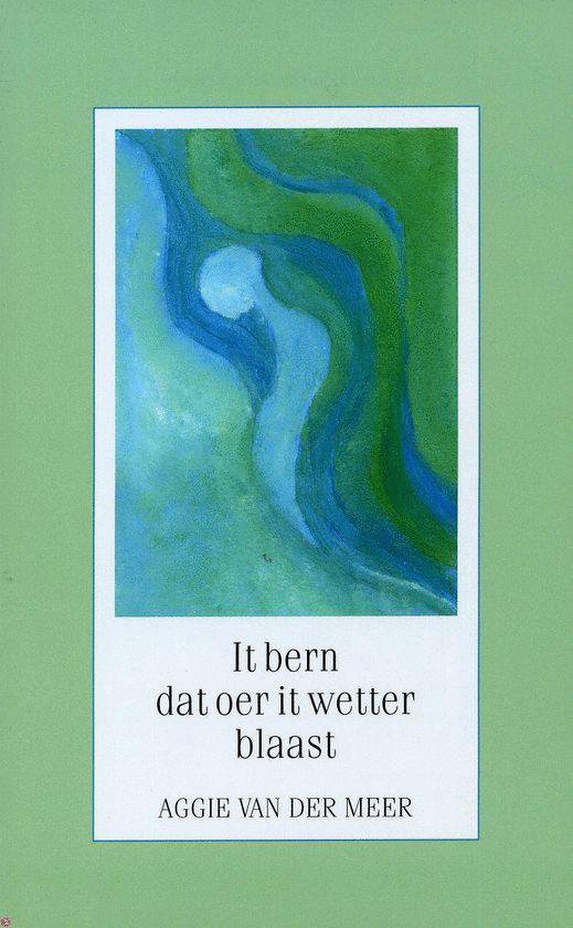 Cover van het boek 'It bern dat oer it wetter blaast' van A. van der Meer