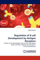 Regulation of B Cell Development by Antigen Receptors