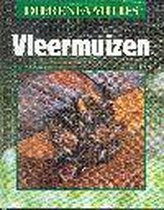 Vleermuizen