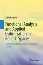 Functional Analysis and Applied Optimization in Banach Spaces