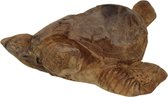 HSM Collection - Decoratieve schildpad Root - blank - teak