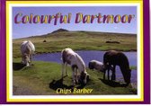 Colourful Dartmoor