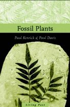 Fossil Plants