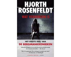 Omslag van Bergmankronieken 1 - Wat verborgen is