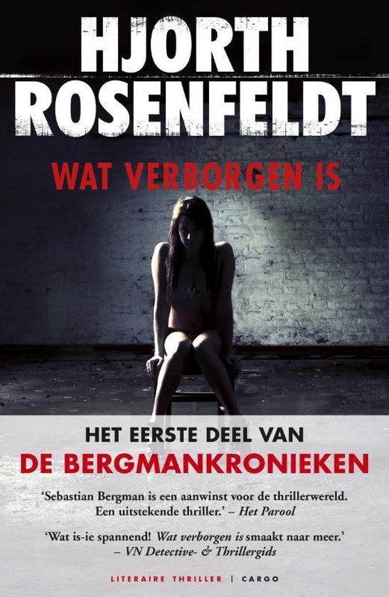 Omslag van Bergmankronieken 1 - Wat verborgen is