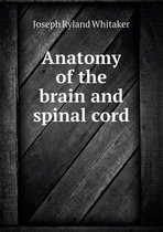 Anatomy of the Brain and Spinal Cord