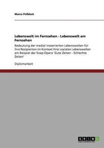 Lebenswelt im Fernsehen - Lebenswelt am Fernsehen
