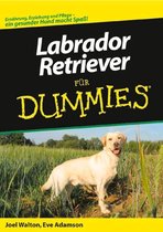 Labrador-Retriever Fur Dummies