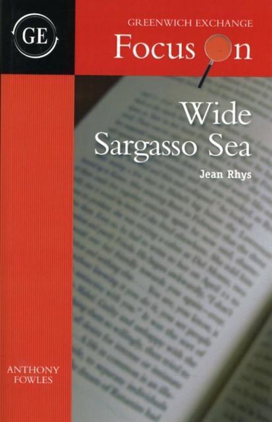 Wide Sargasso Sea By Jean Rhys