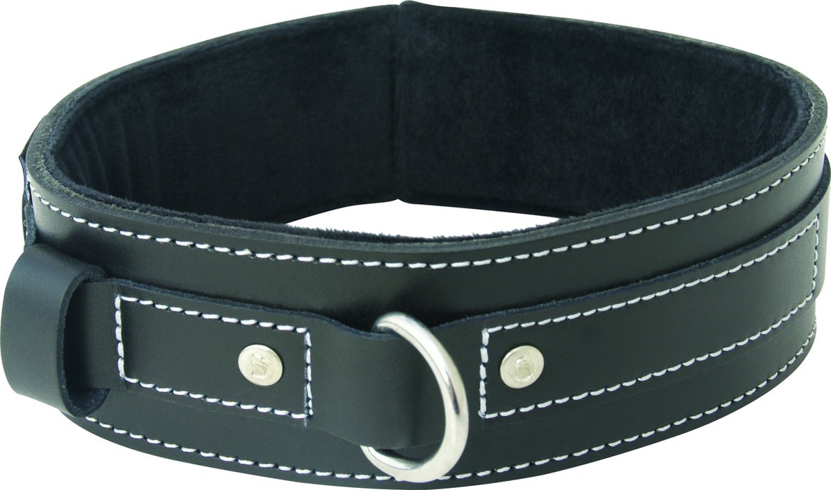 Goedkoopste Edge Gevoerde Lederen Halsband Sportsheets 80252