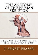 The Anatomy of the Human Skeleton