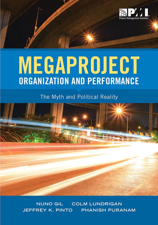 Megaproject Organization and Performance - cover