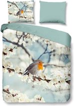 Snoozing Robin - Dekbedovertrek - Lits-jumeaux - 240x200/220 cm + 2 kussenslopen 60x70 cm - Multi kleur