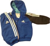 Overgang Peregrination Discriminatie Adidas Baby Trainingspak - Maat 62 - Blauw/Navy | bol.com