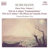 Vienna Brahms Trio - Schumann: Piano Trios Volume 2 (CD)