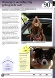 Een bruine hond met een rode halsband kijkt omhoog vanuit de achterkant van een auto.