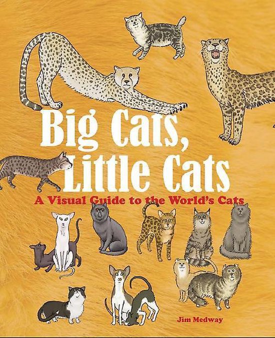Boek cover Big Cats, Little Cats van Jim Medway