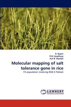 Molecular Mapping of Salt Tolerance Gene in Rice