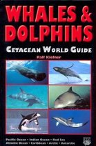 Whales and Dolphins