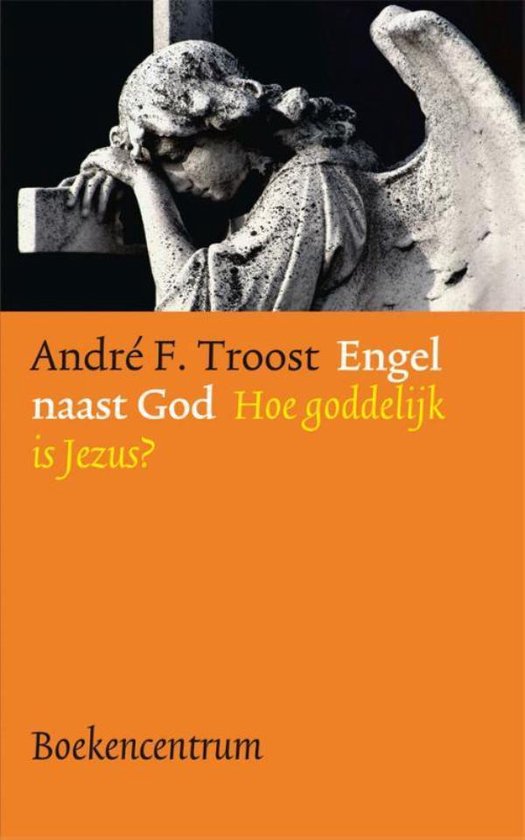 Cover van het boek 'Engel naast God' van André F. Troost