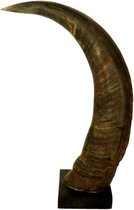 Mars & more Bison hoorn op hout 35cm