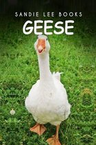 Geese - Sandie Lee Books