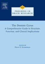The Dentate Gyrus: A Comprehensive Guide to Structure, Function, and Clinical Implications