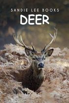 Deer - Sandie Lee Books