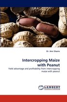 Intercropping Maize with Peanut