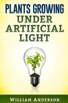 Plants Growing Under Artificial Light
