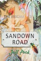 The Enigma of 13 Sandown Road