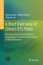 A Brief Overview of China's ETS Pilots