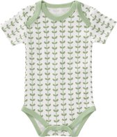 Fresk romper korte mouw Leaves mint