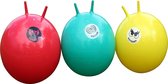 Garden Games Hoppin Mad - Skippyballen - 3stuks - diameter 61cm