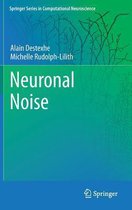 Neuronal Noise