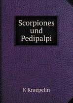 Scorpiones und Pedipalpi