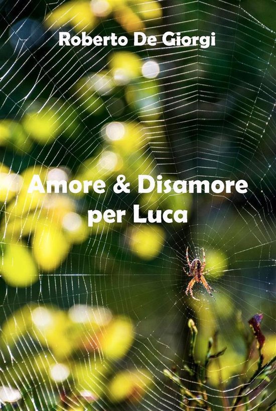 Amore & Disamore per Luca - cover
