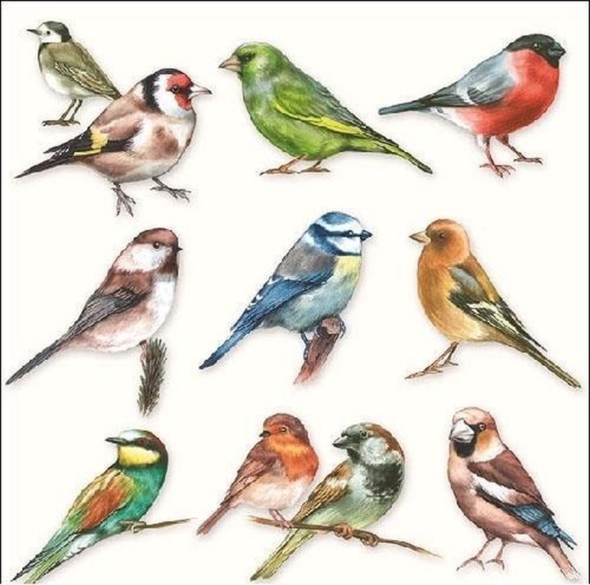20x Servetten Vogels 33 x 33 cm - Vogels tafeldecoratie servetjes - Vogel thema papieren tafeldecoraties - Ambiente