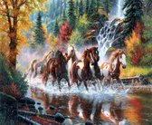 Eagle® Diamond Painting Volwassenen - Diamond Painting Kinderen - Paarden in Natuur - 50x40cm