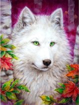 Diamond Painting World™ Witte wolf – Diamond painting pakket – volledig bedekt – 30x40cm