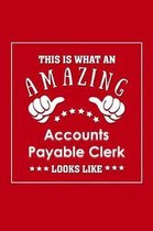 This is What an Amazing Accounts Payable Clerk Look Like