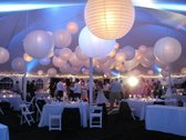 Lampionnen Voordeel pakketten Lampion Wit - onverlicht - 105 stuks