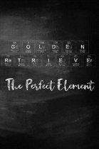 Golden Retriever the Perfect Element