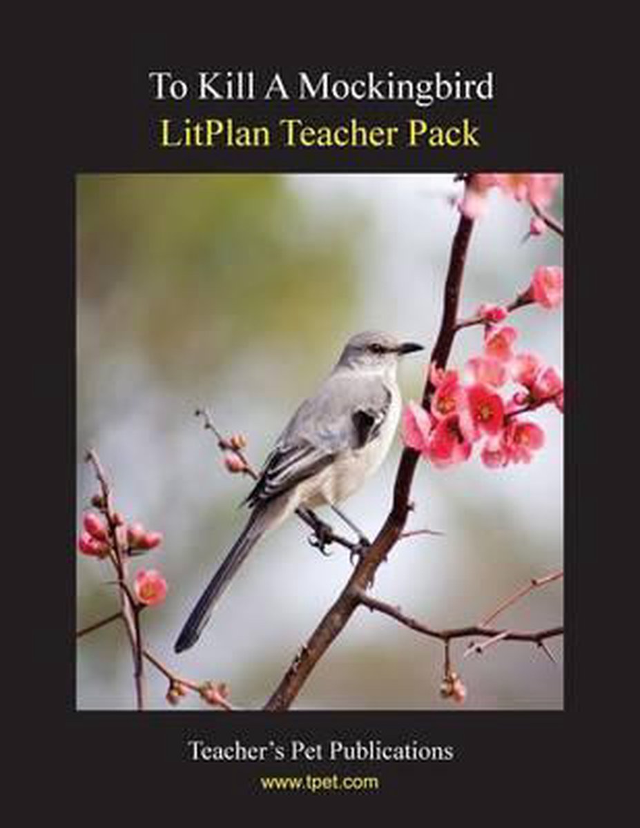 Litplan Teacher Pack van Mary B Collins
