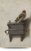 Het Puttertje op canvas 60x90 cm. inclusief frame en ophangbeugel – Van Carel Fabritius, Een van de: Oude meesters uit het: Mauritshuis – Canvas schilderijen – Vogel schilderij
