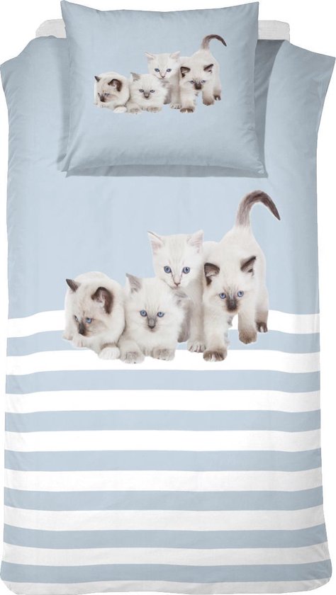 Cinderella Cute Kittens - Kinderdekbedovertrek - 140 x 200 cm - Eenpersoons - Blue