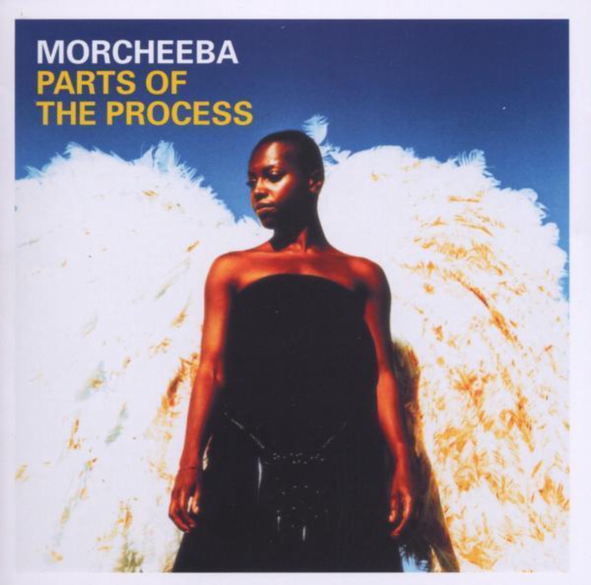 Morcheeba - Parts Of The Process