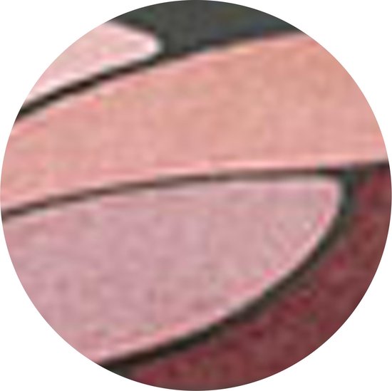 L’Oréal Paris Color Riche Les Ombres Quad - E6 Eau de Rose - Oogschaduw